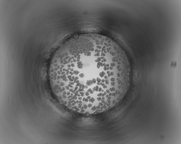 X0000111210259200907151444