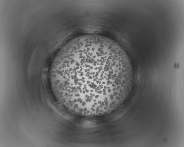 X0000111210263200907151444