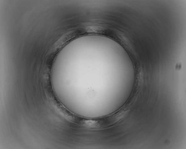 X0000111210265200907151444