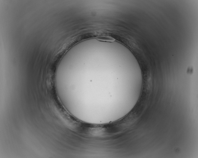 X0000111210266200907151444