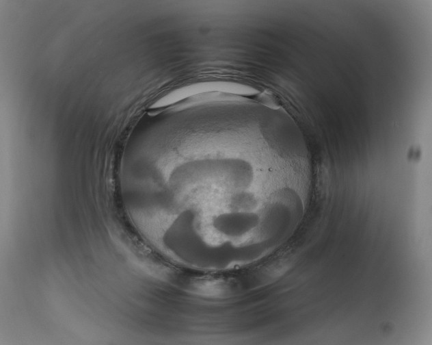 X0000111210267200907151444