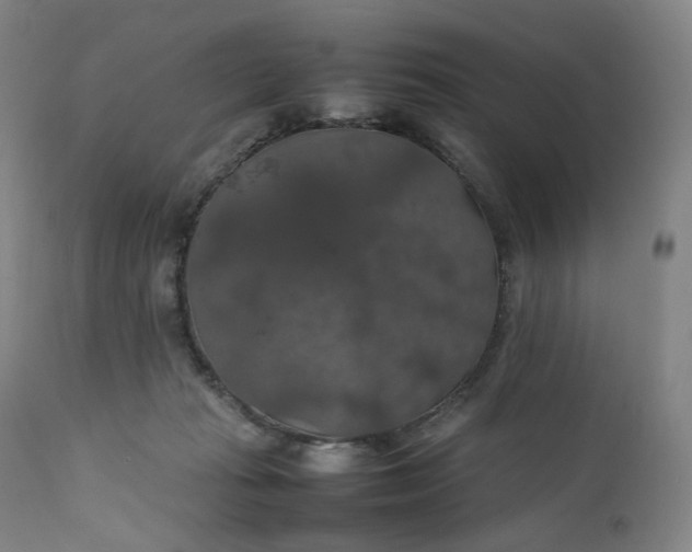 X0000111210269200907151444