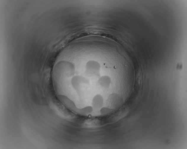 X0000111210271200907151444