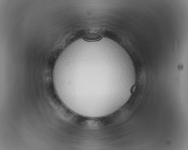 X0000111210272200907151444