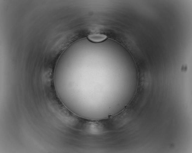 X0000111210275200907151444