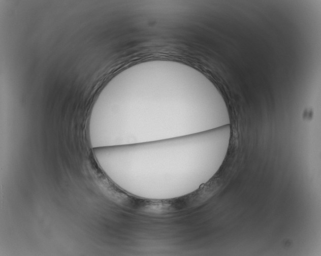 X0000111210278200907151444