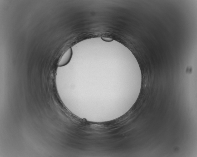 X0000111210279200907151444