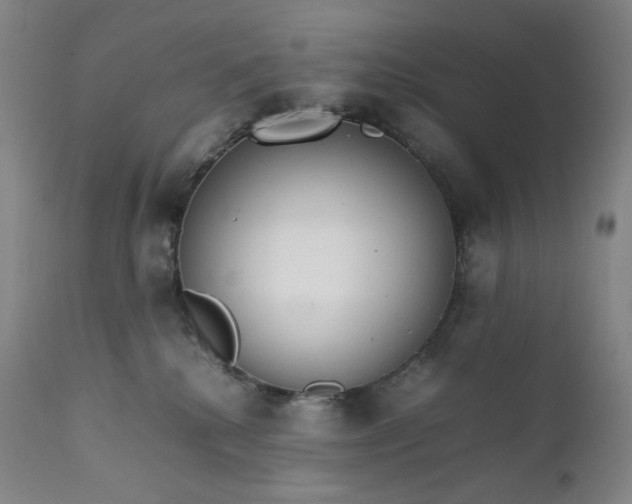 X0000111210280200907151444