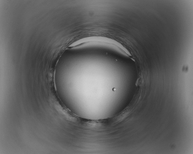 X0000111210284200907151444