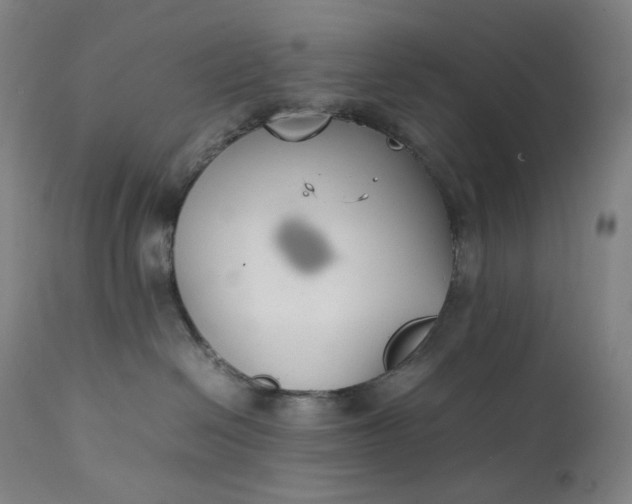 X0000111210286200907151444