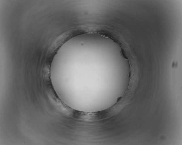 X0000111210288200907151444