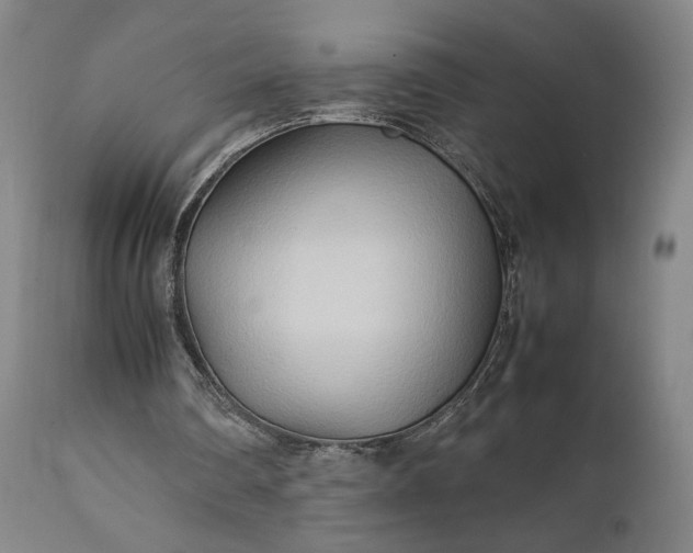 X0000111210290200907151443