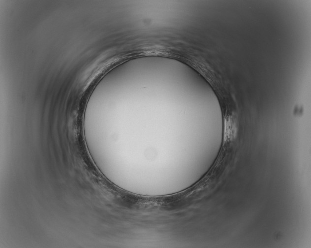 X0000111210291200907151443