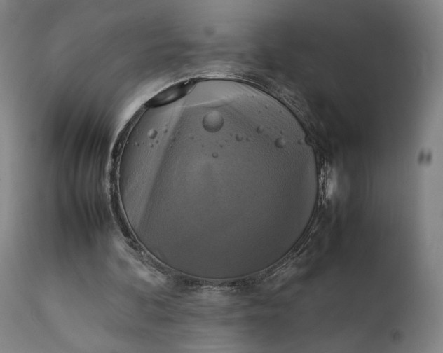 X0000111210292200907151443