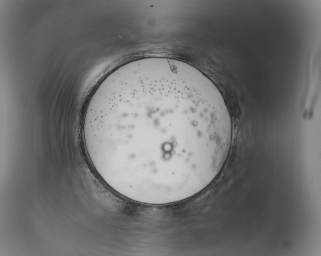 X0000111210293200907151443