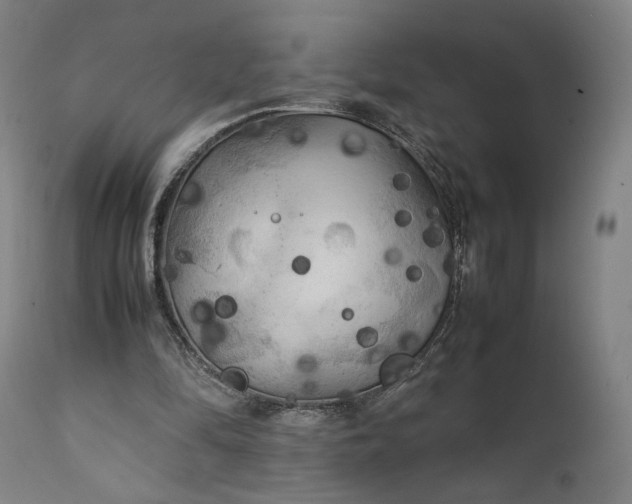 X0000111210294200907151443