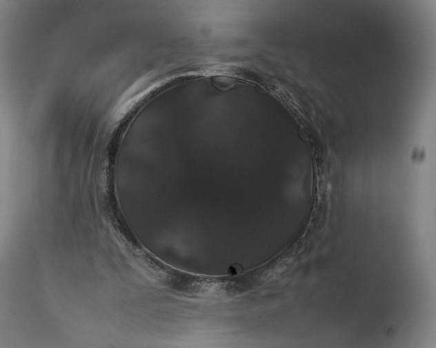 X0000111210295200907151443