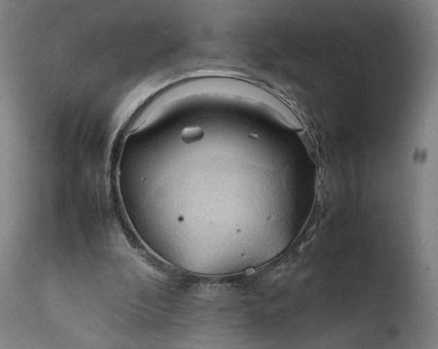 X0000111210296200907151443