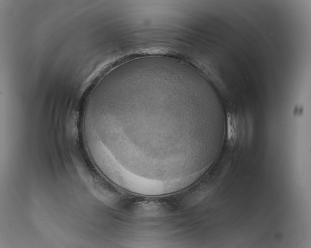 X0000111210300200907151443