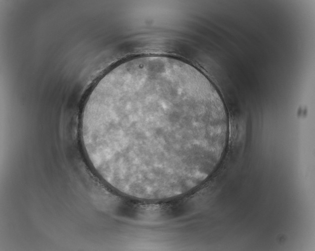 X0000111210301200907151443