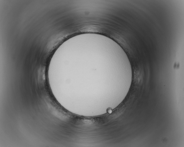 X0000111210302200907151443