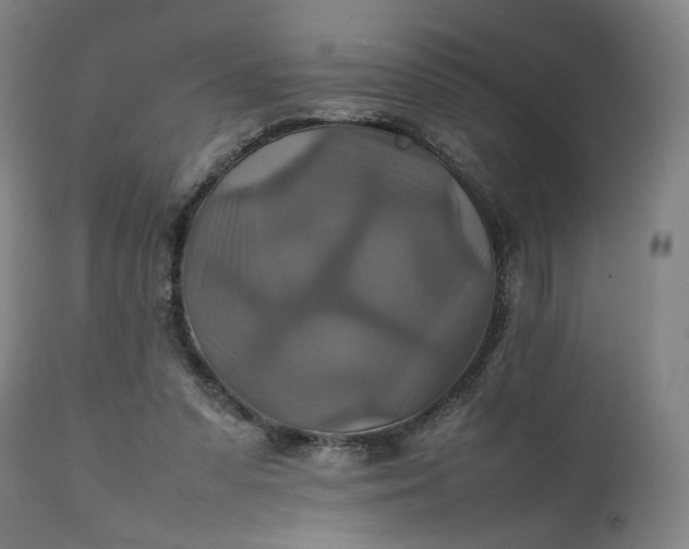 X0000111210303200907151443