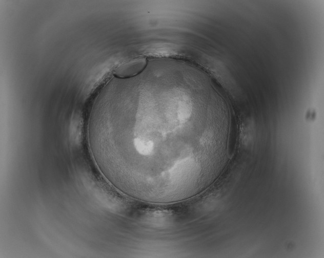 X0000111210304200907151443