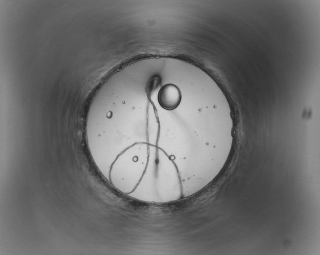 X0000111210305200907151443