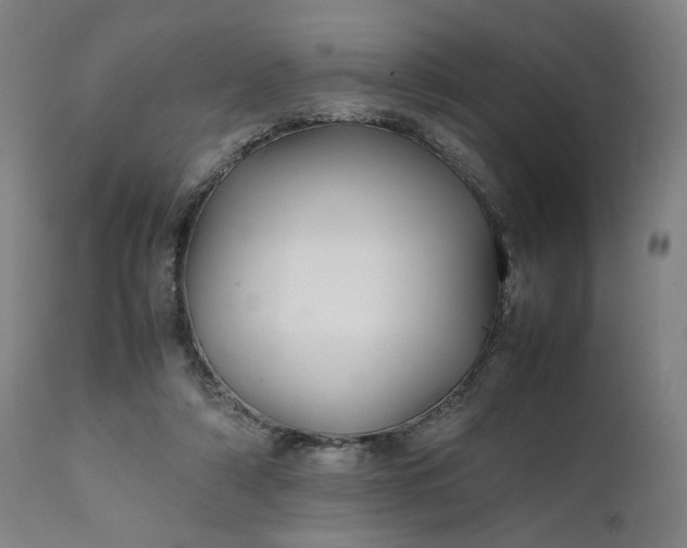 X0000111210306200907151443