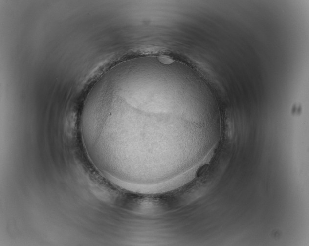 X0000111210308200907151443