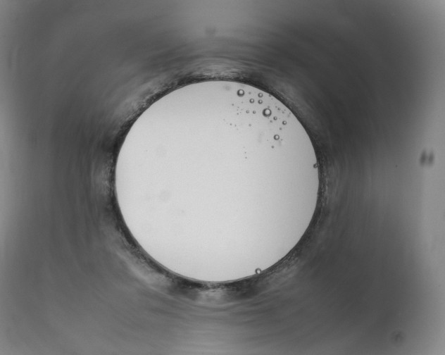 X0000111210309200907151443