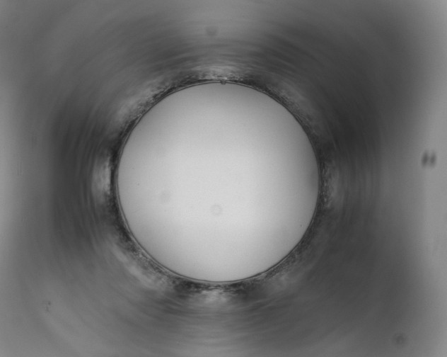 X0000111210310200907151443