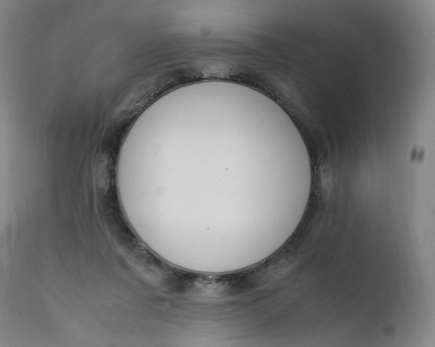 X0000111210311200907151443