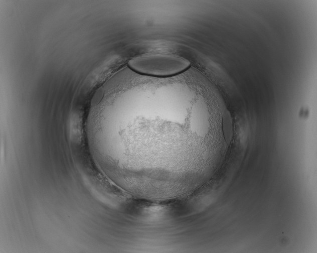 X0000111210312200907151443