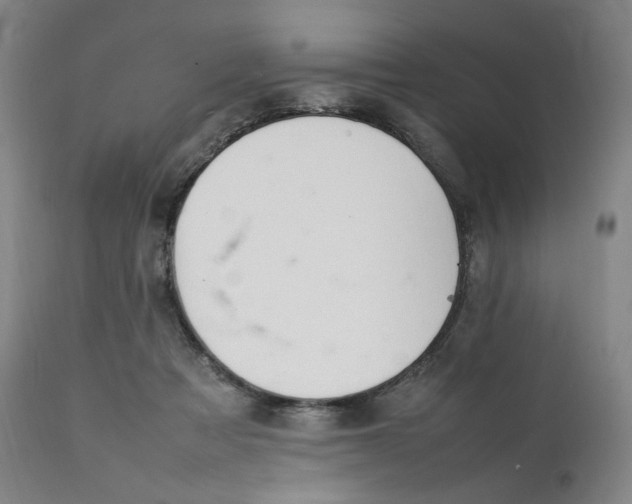 X0000111210313200907151443