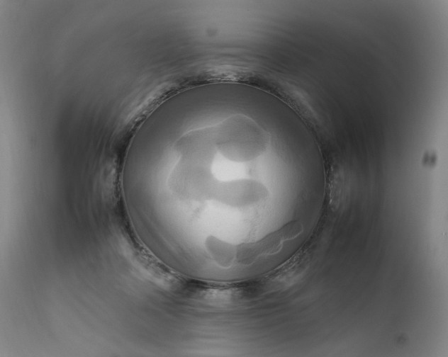 X0000111210314200907151443