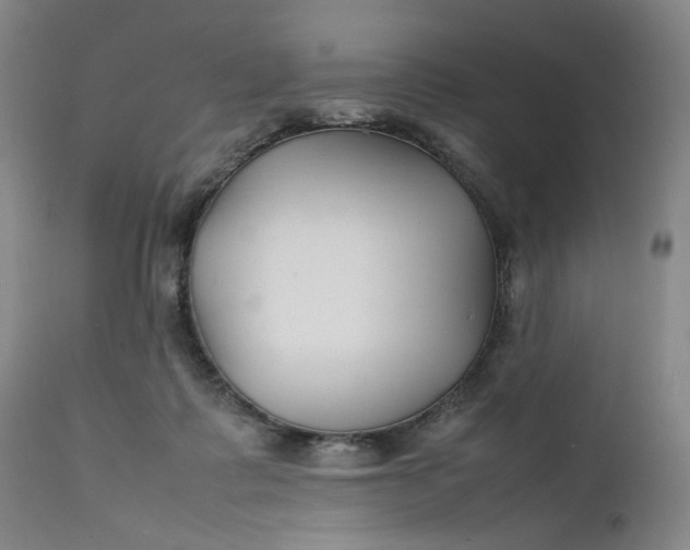 X0000111210315200907151443