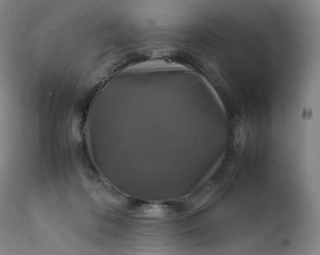 X0000111210316200907151443