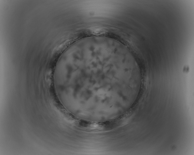 X0000111210319200907151443