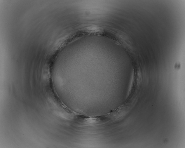 X0000111210320200907151443