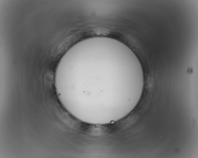 X0000111210321200907151443