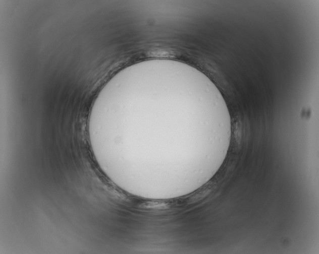 X0000111210322200907151443