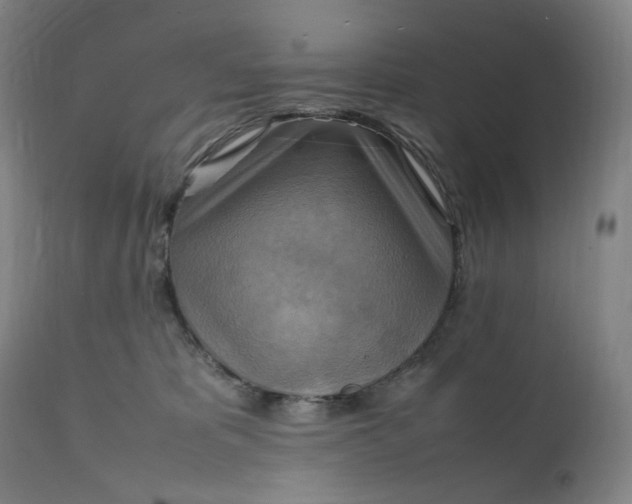 X0000111210325200907151443