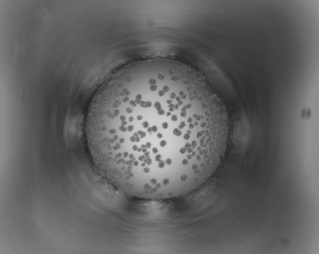 X0000111210326200907151443