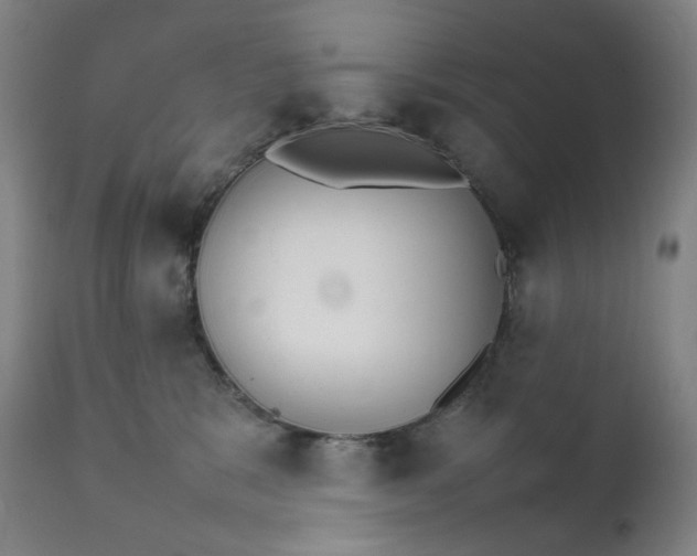 X0000111210327200907151443