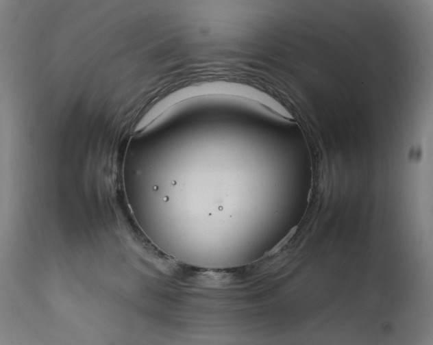 X0000111210328200907151443