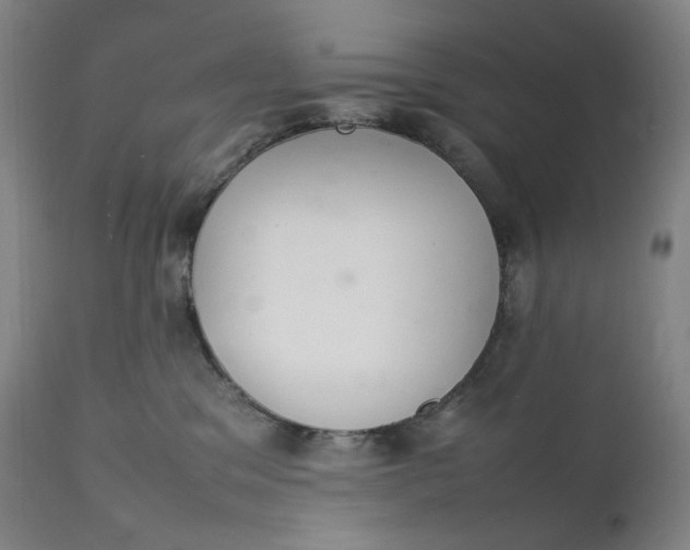 X0000111210329200907151443