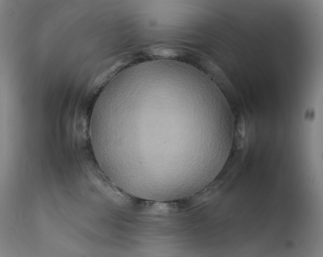 X0000111210330200907151443