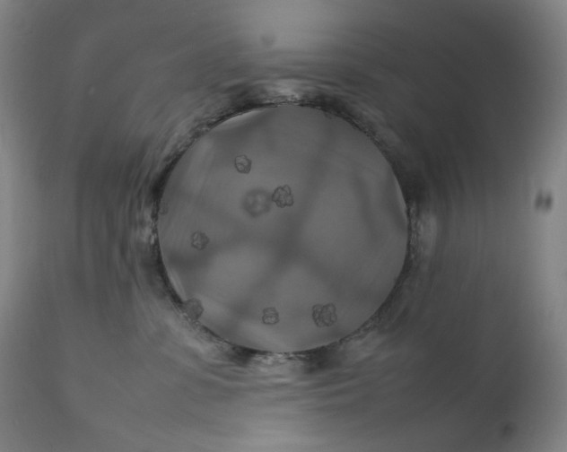 X0000111210331200907151443