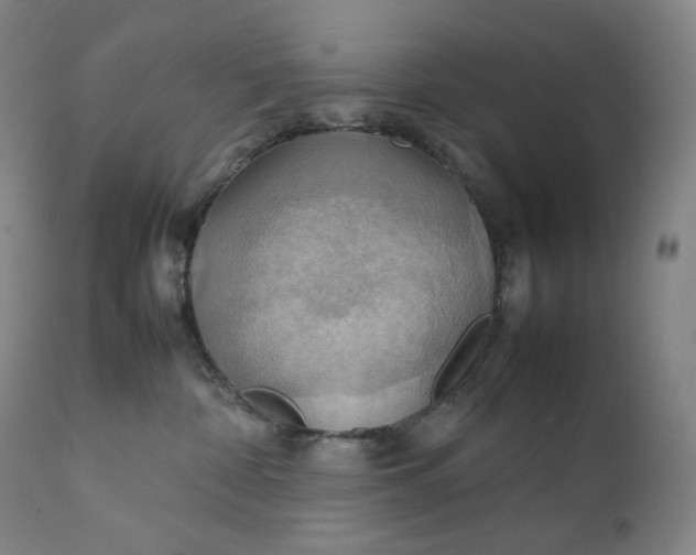 X0000111210332200907151443